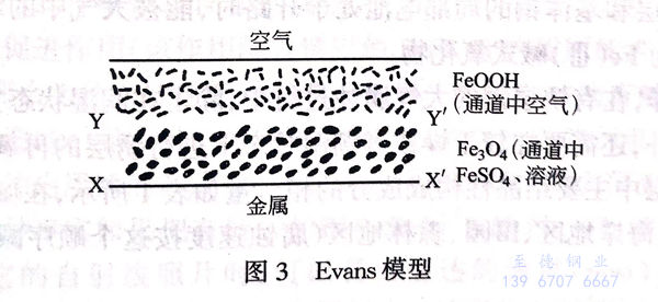 图 3.jpg