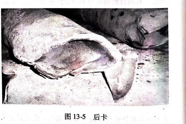 图 5.jpg