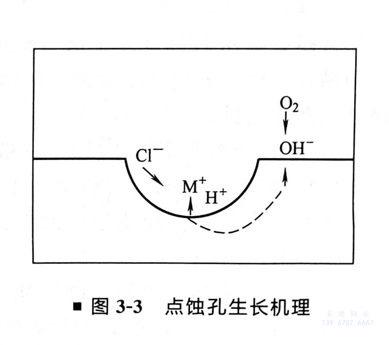 图 3.jpg