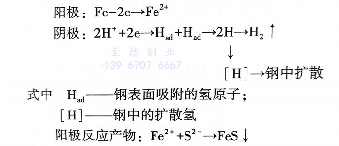 杂 1.jpg
